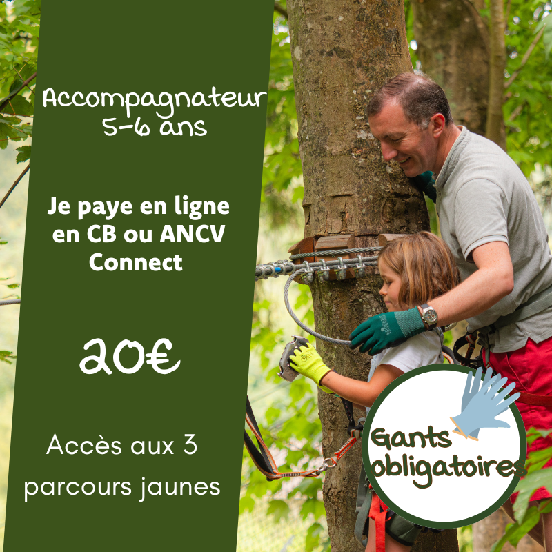 Accompagnateur Enfant 5-6 ans - En Ligne