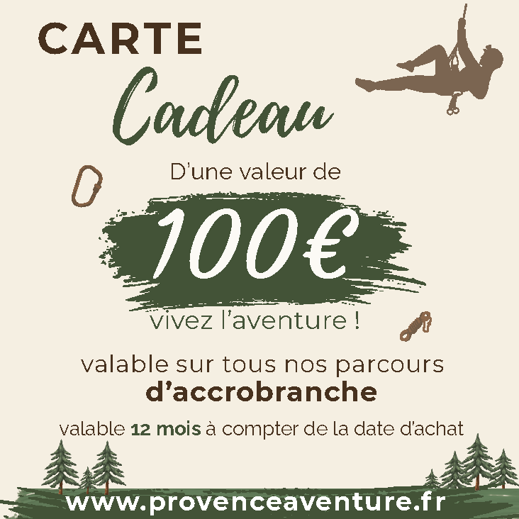 Carte cadeau 100 €