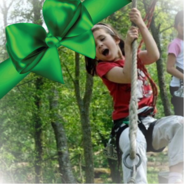 Bon cadeau - Petit Aventurier