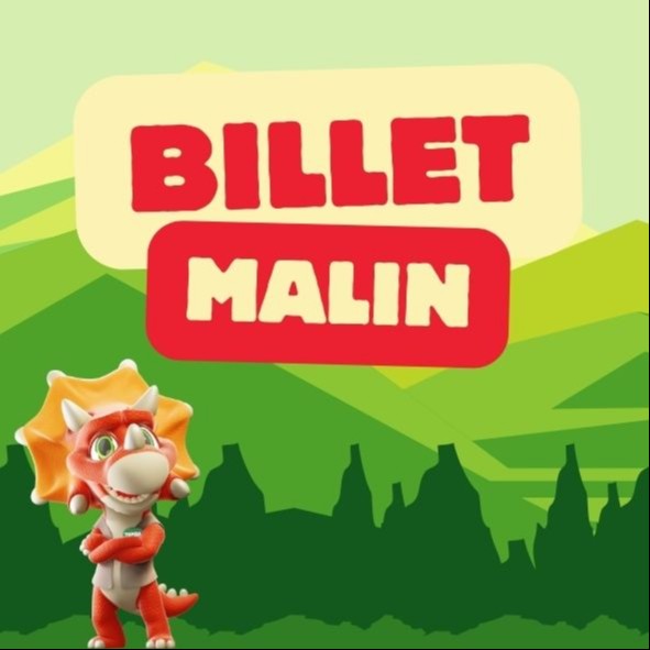 Billet malin adulte 18 ans et +