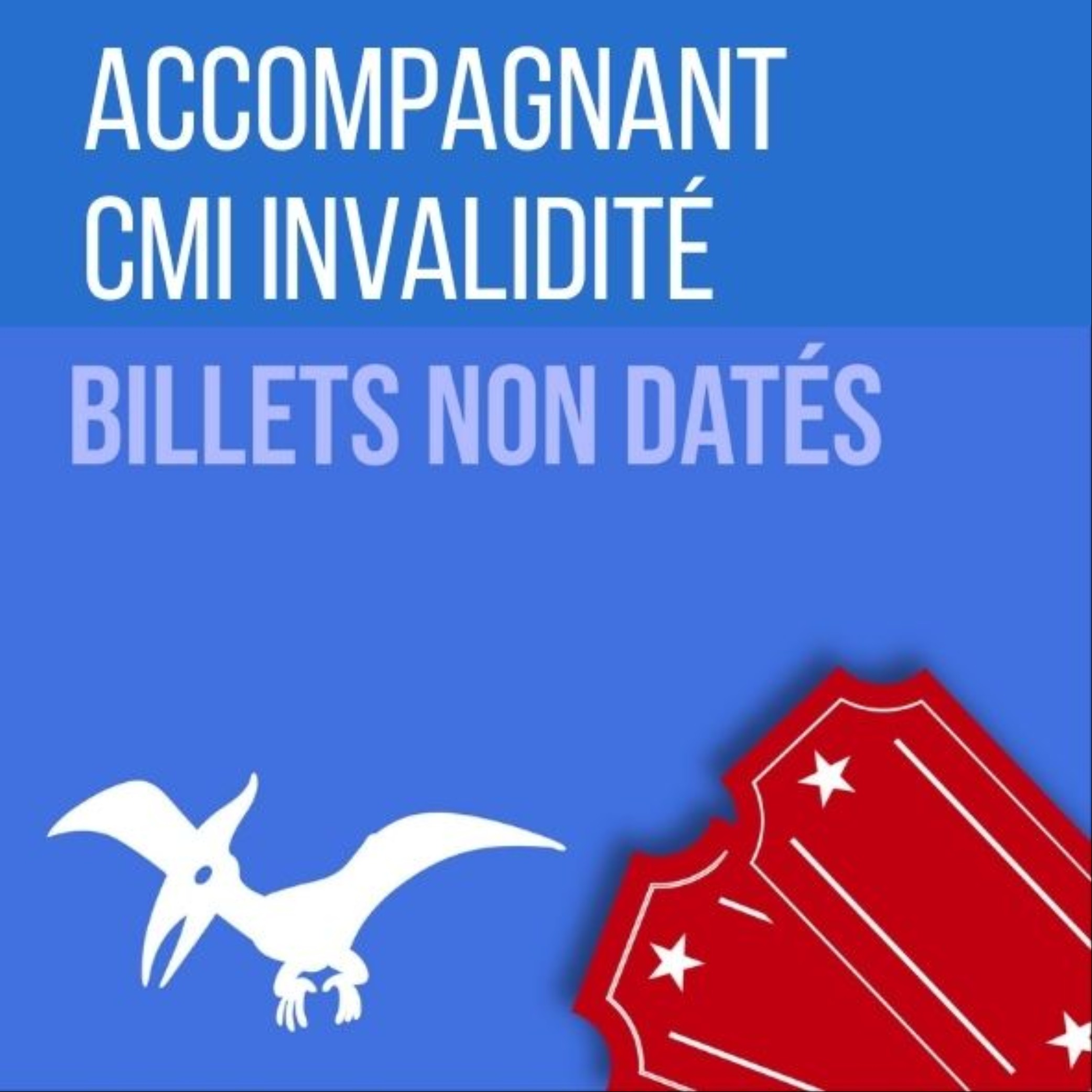 Accompagnant carte CMI invalidité + de 80%