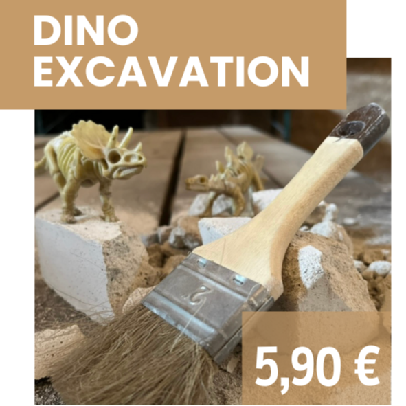 ACTIVITÉ DINO EXCAVATION