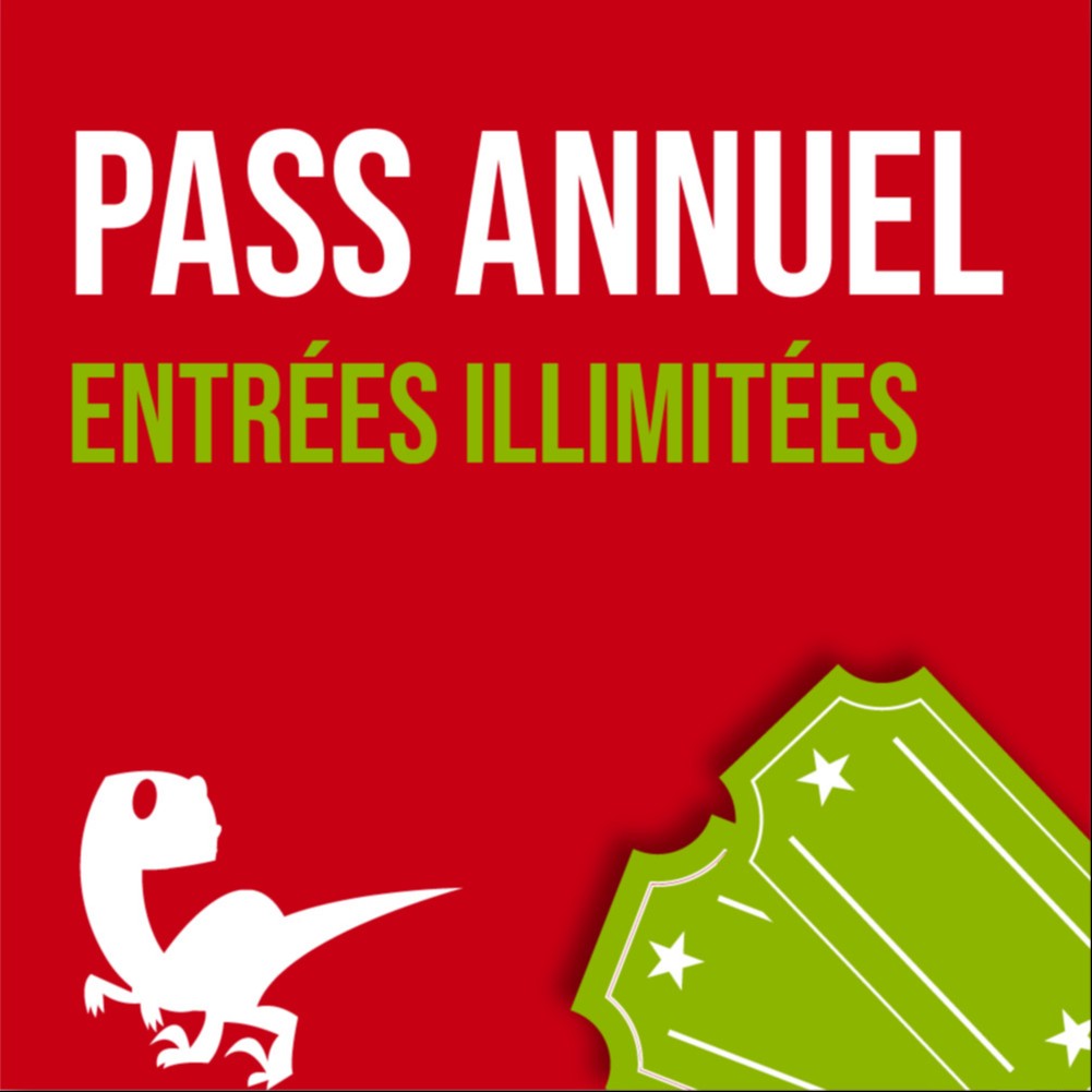 Commande pass annuel enfant de 90cm à 17 ans