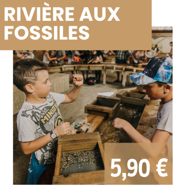ACTIVITÉ RIVIERE AUX FOSSILES