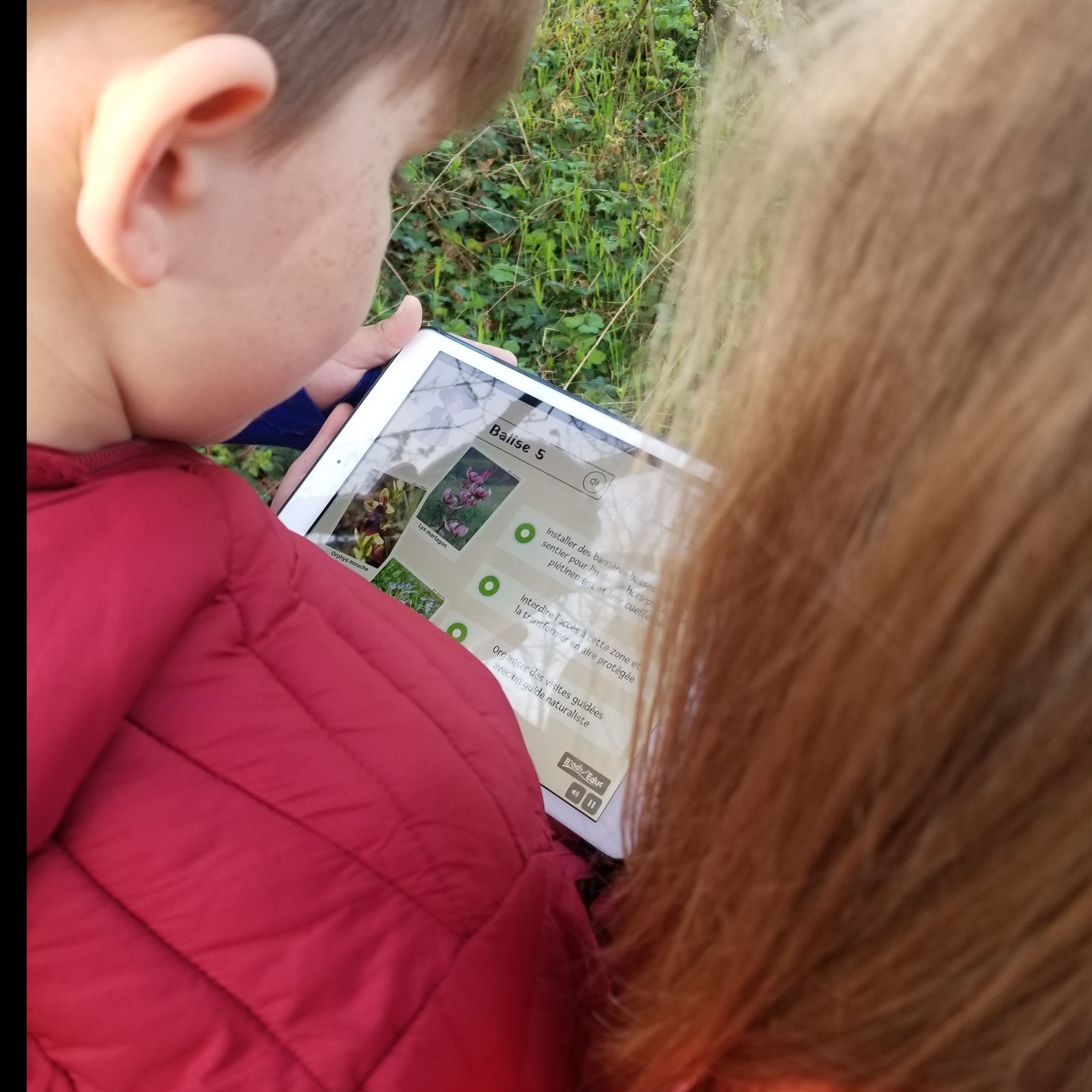 Mission forêt connectée