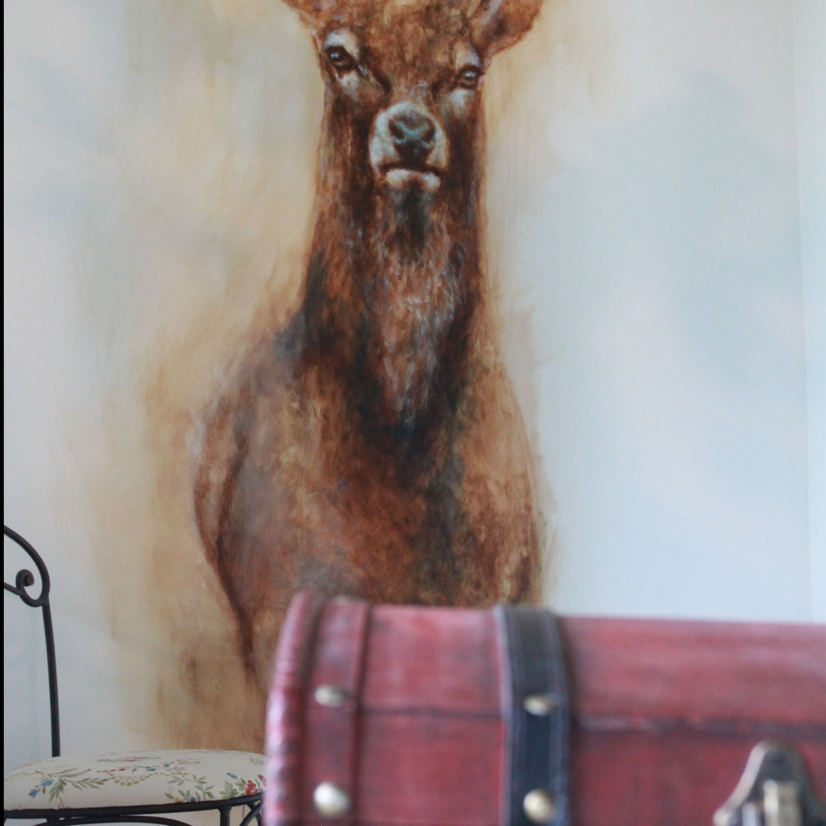 Wild Mission - Escape Game journée 14h à 16h