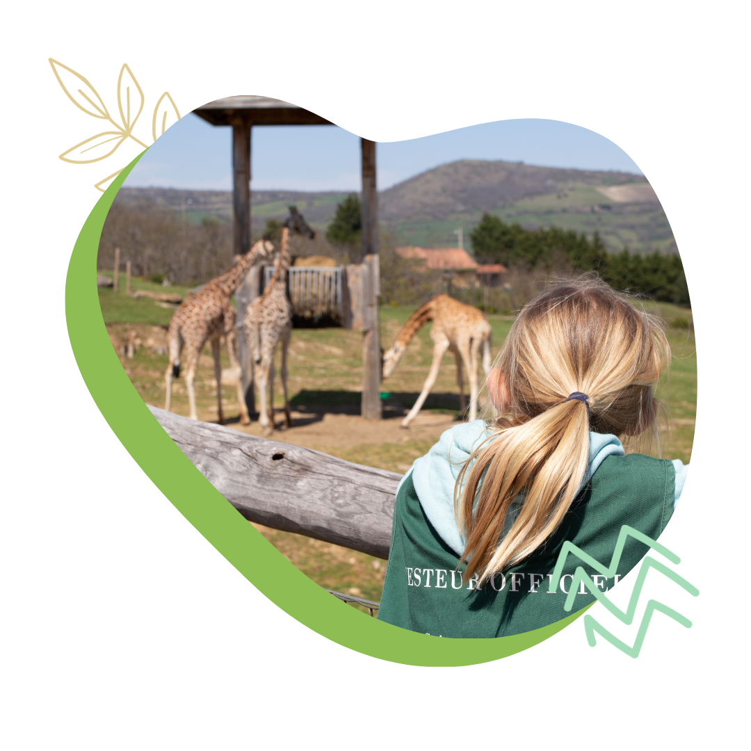 Camp Soigneur animalier (12/15 ans)