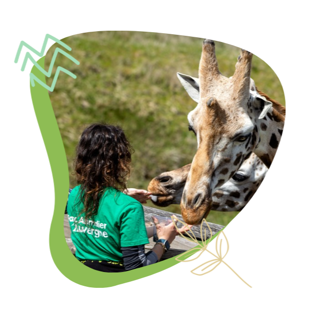 Initiation au métier de soigneur animalier - 16 ans et +