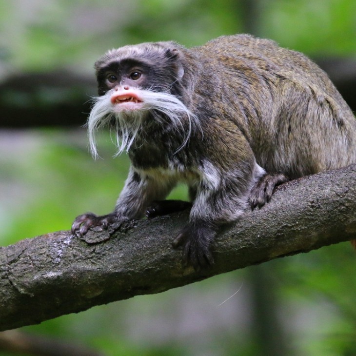 Entrée libre Enfant LIBRE