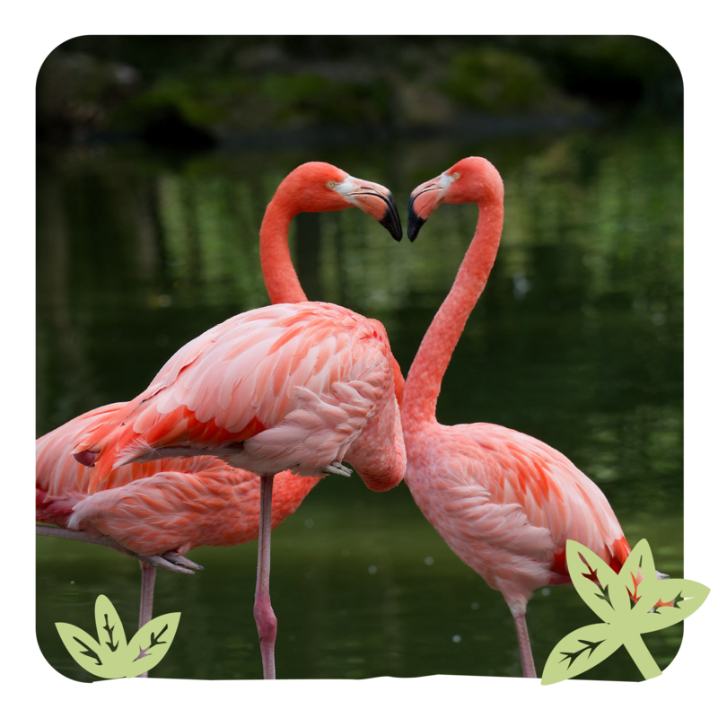 Billet Saint Valentin