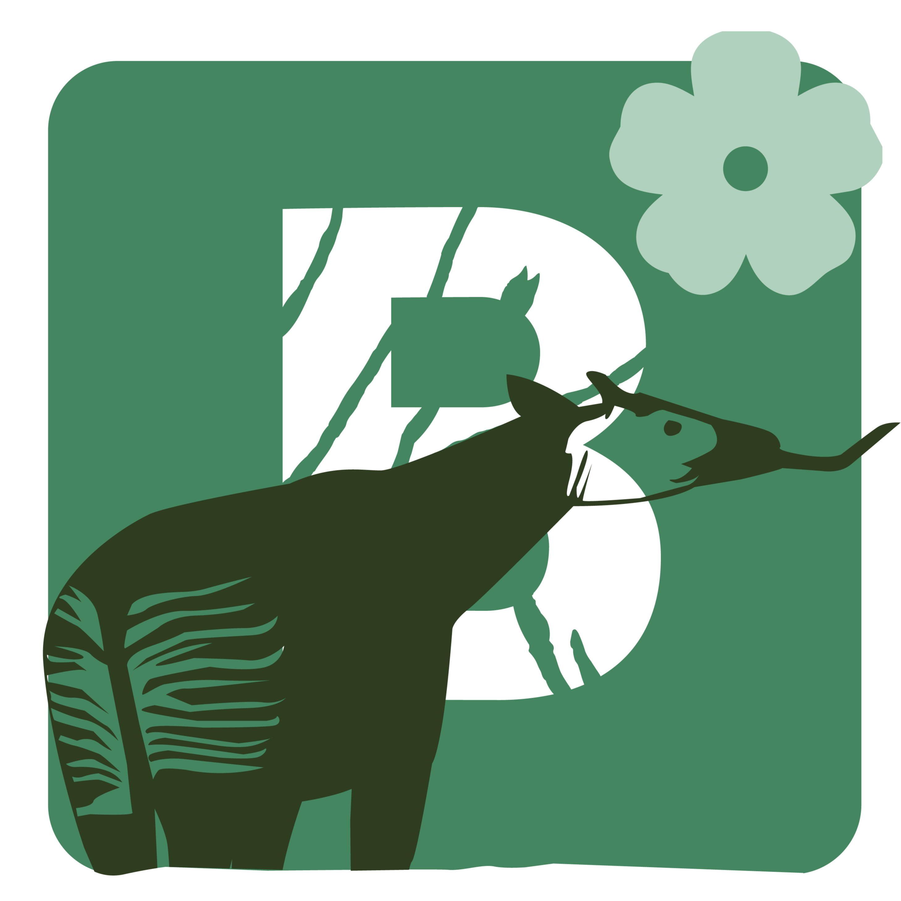 Billet réduit adulte - printemps 2026