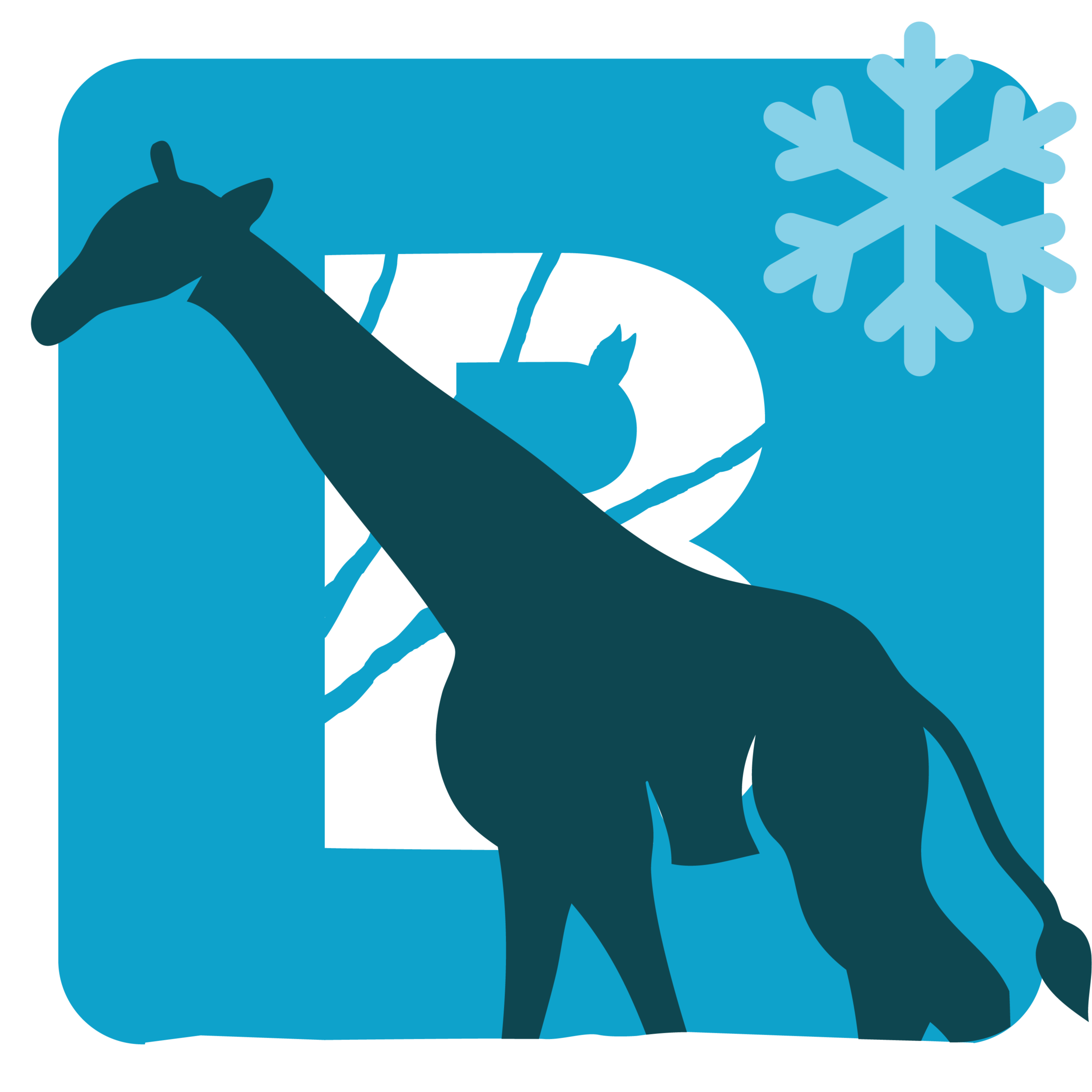 Billet adulte - hiver 2026