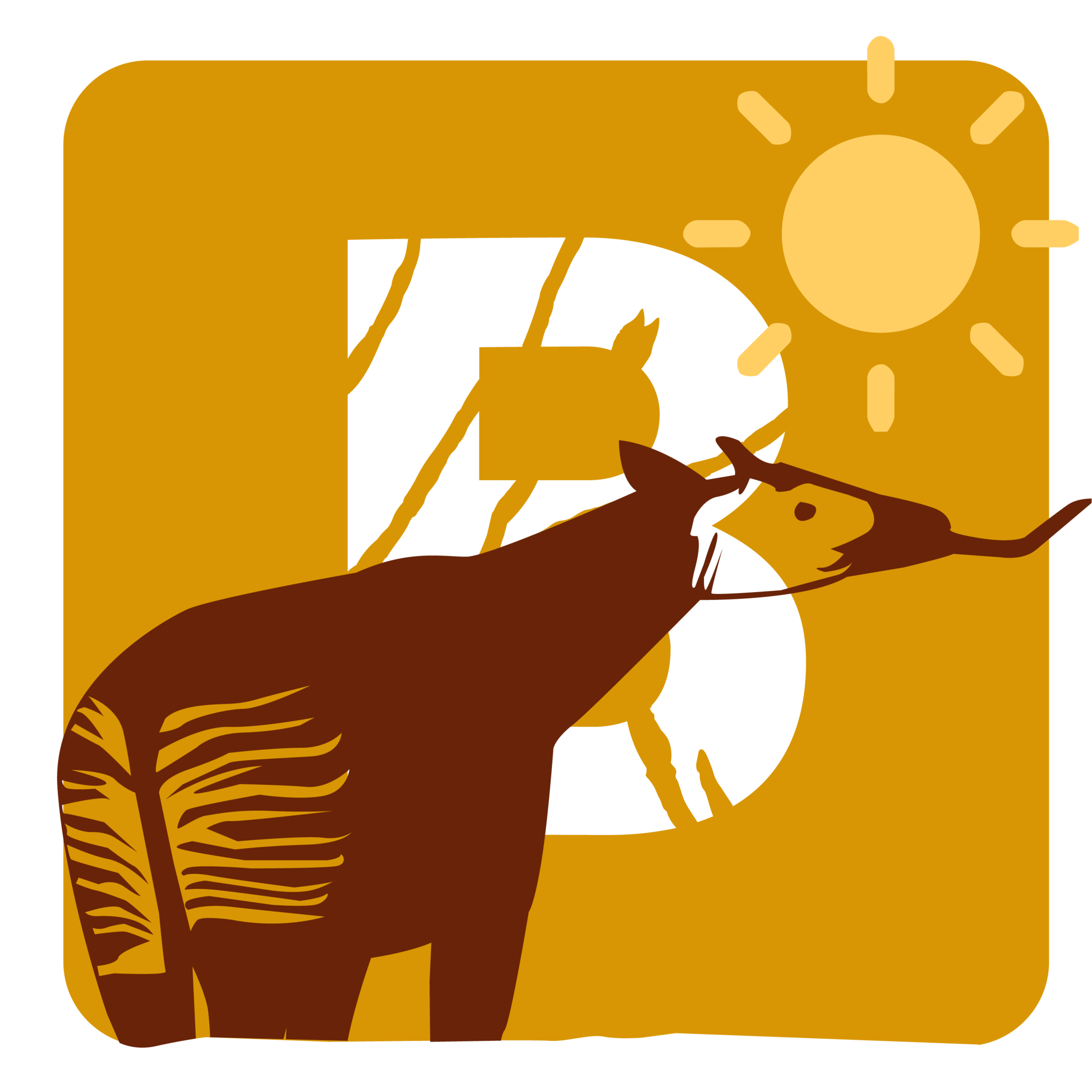 Billet réduit adulte - été 2026