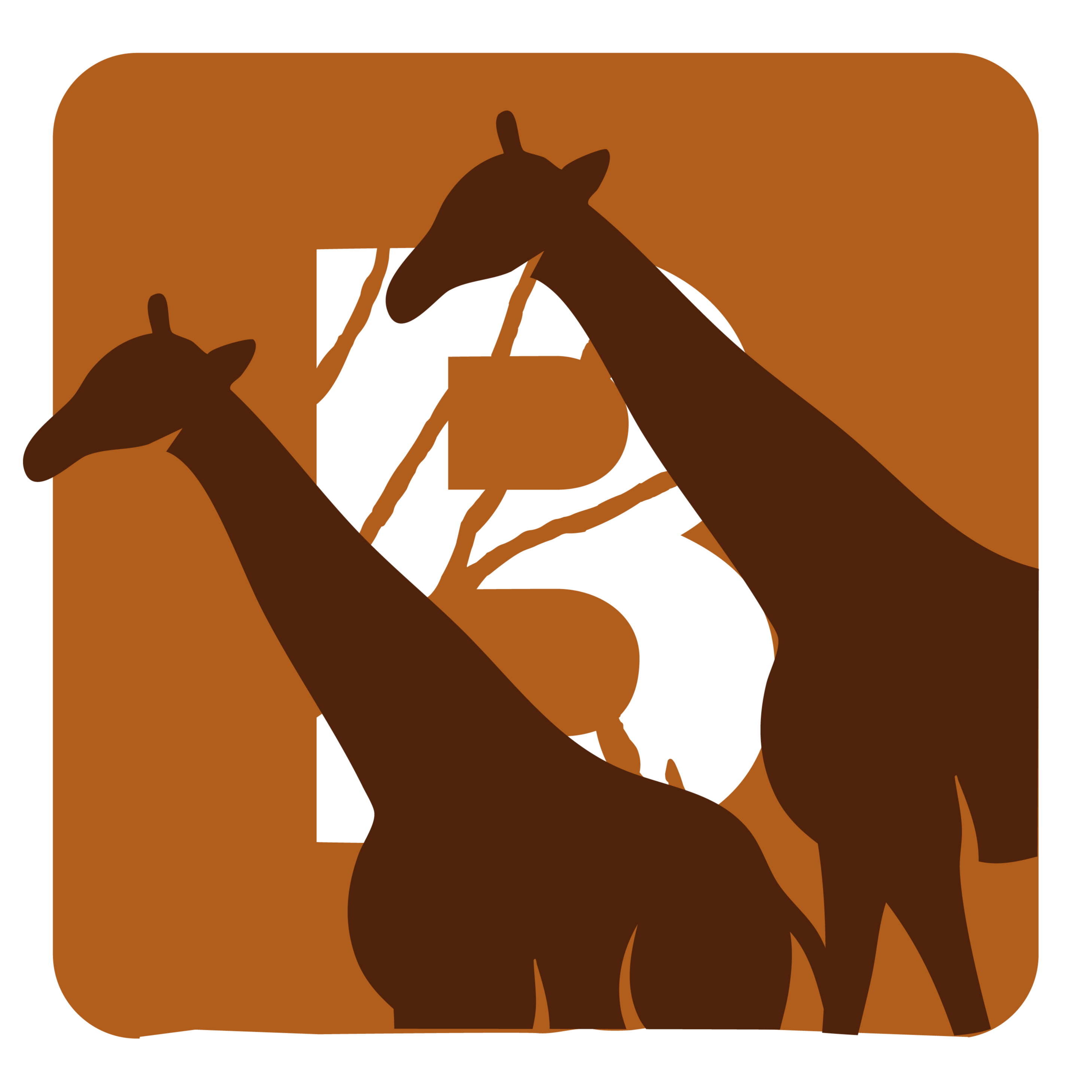 Package Saint Valentin