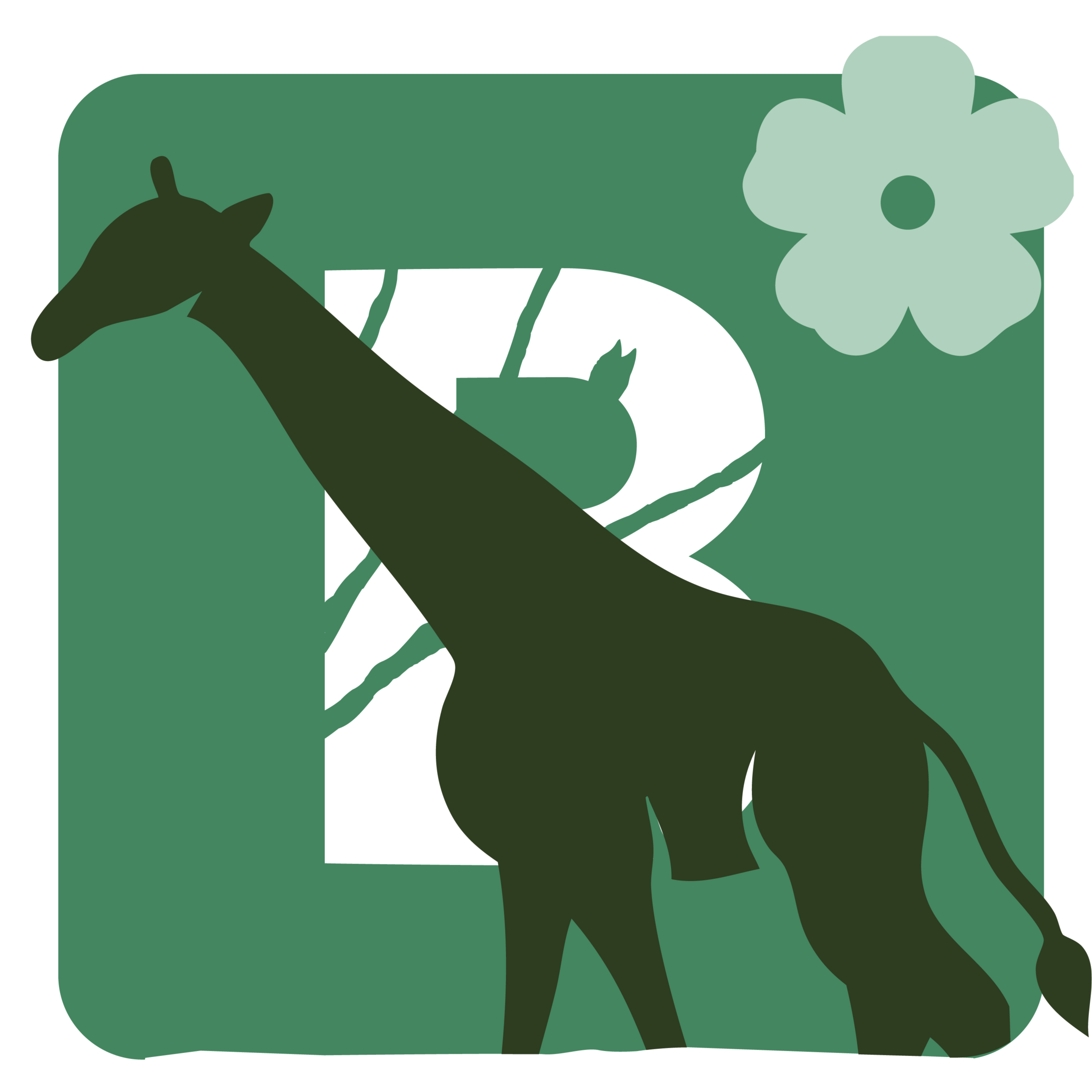 Billet adulte - printemps 2026