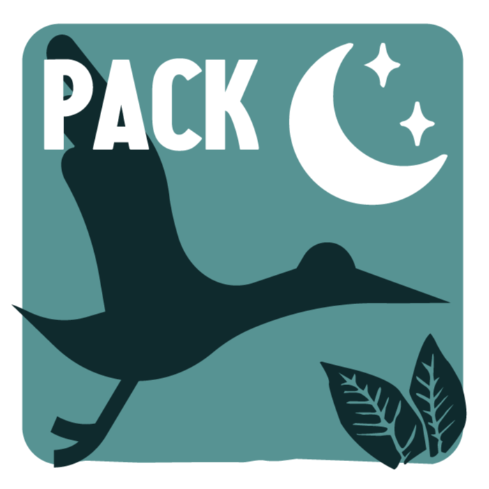 Pack journée + Nocturnes enfant - 3 ans