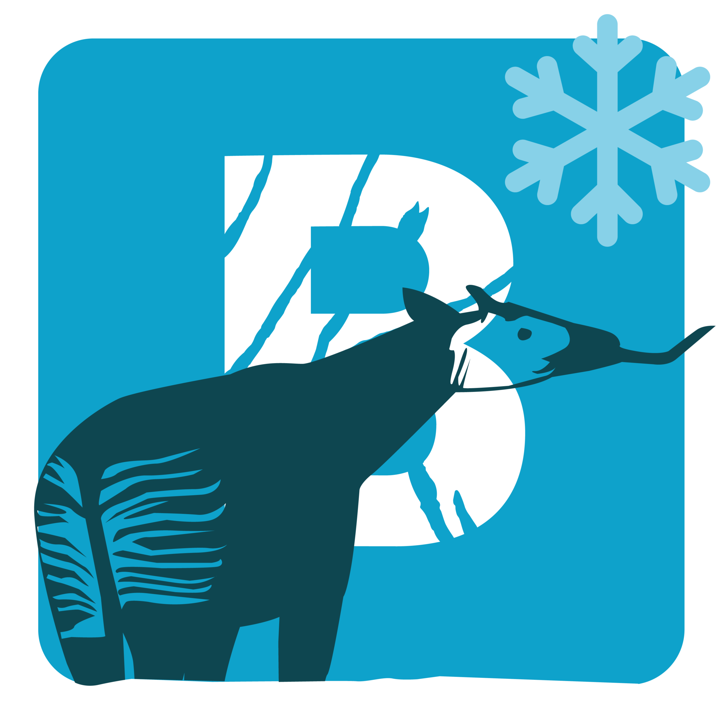 Billet réduit adulte - hiver 2026