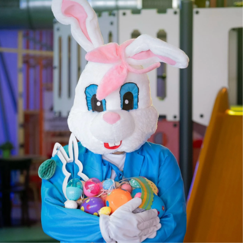 CHASSE AUX ŒUFS 🐰🐥🥚