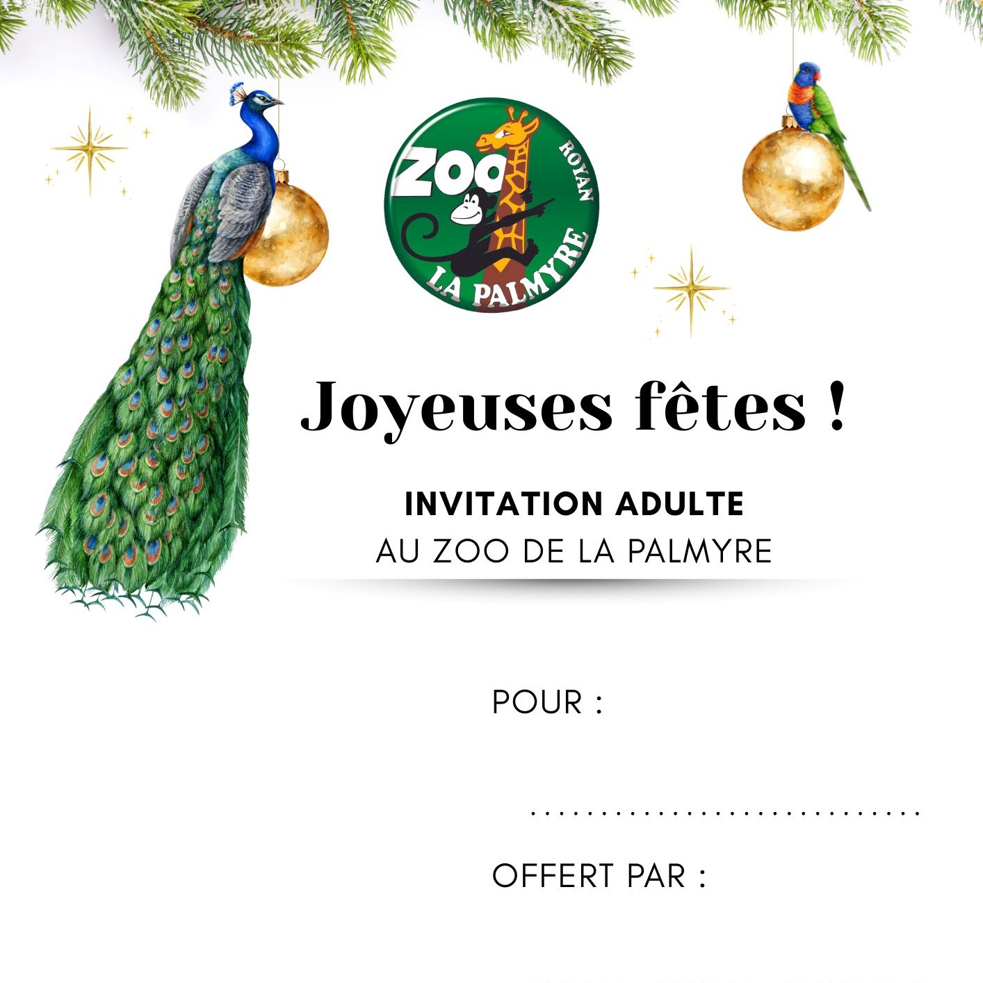 Billet Noël - Adulte