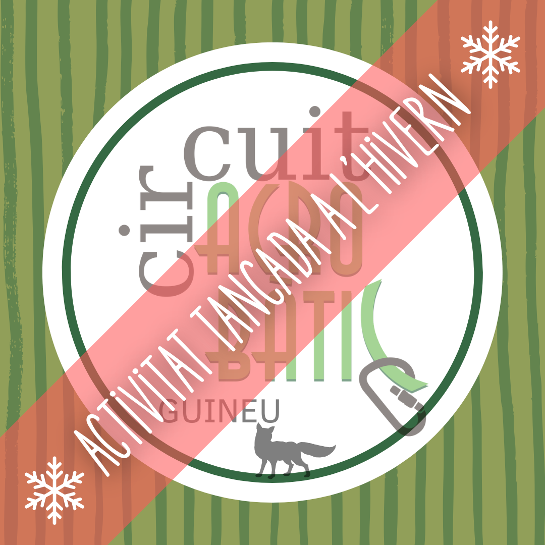 Circuit acrobàtic Guineu (fins a 17 anys)