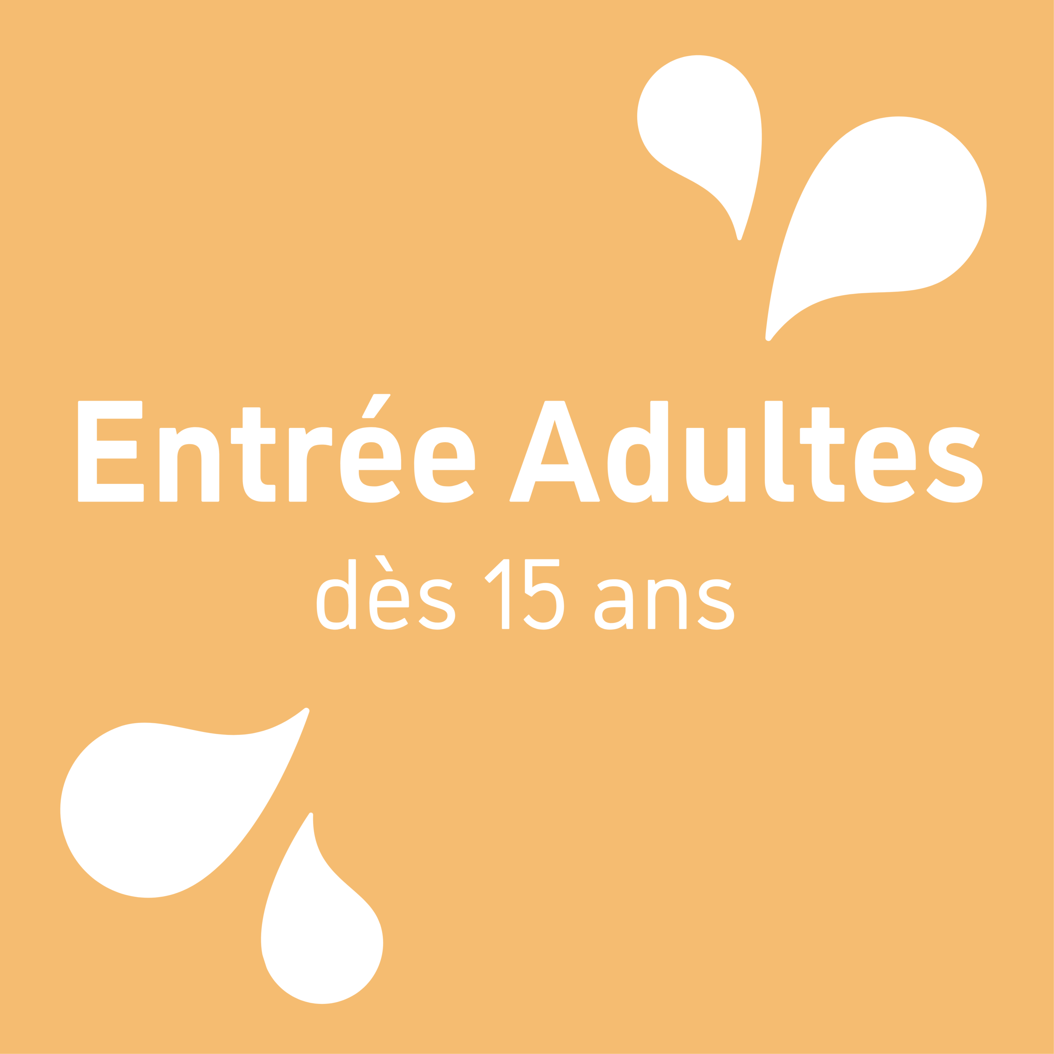 Entrée Little Play Studio - Adulte (15 ans et +)