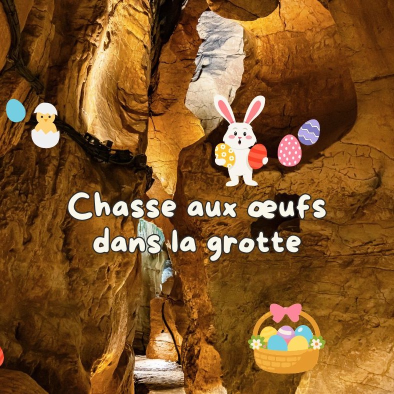 Chasse aux œufs enfant