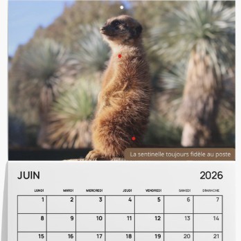 commande calendrier 2026 (en France métropolitaine)