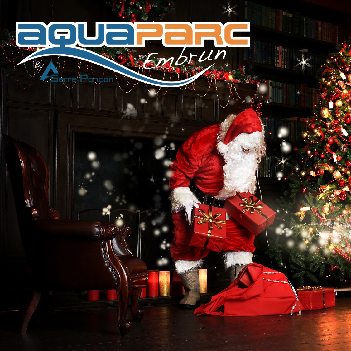 Pass Saison OFFRE NOEL 2025 ( 220€ contre 250€ )