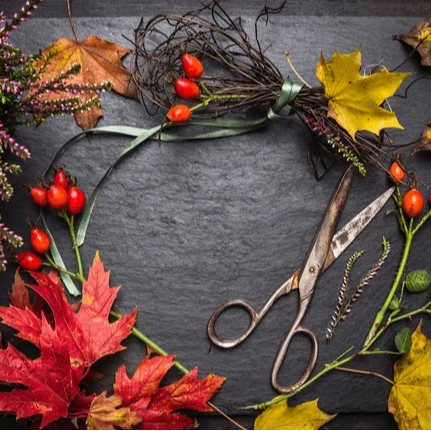 Ateliers de novembre et décembre