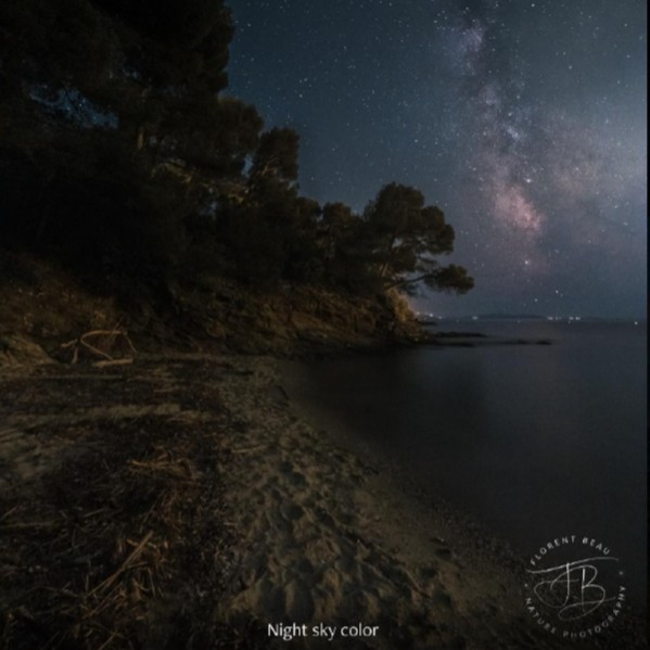 Les activités nocturnes de l'été