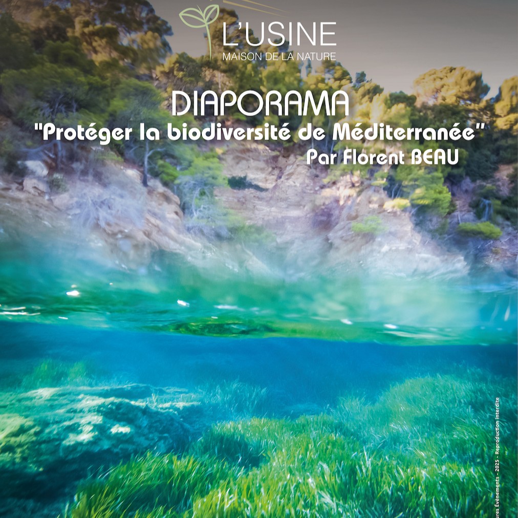 Diaporama 