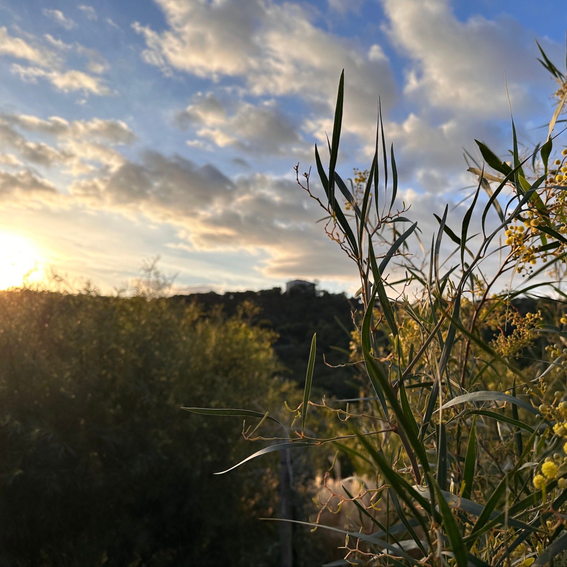 Balade autour de FONCIN avec Mélanie ROBEAU