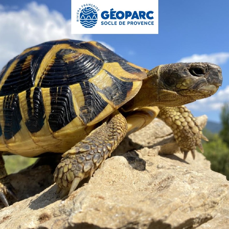 Conférence Géopark avec Stéphane GAGNO