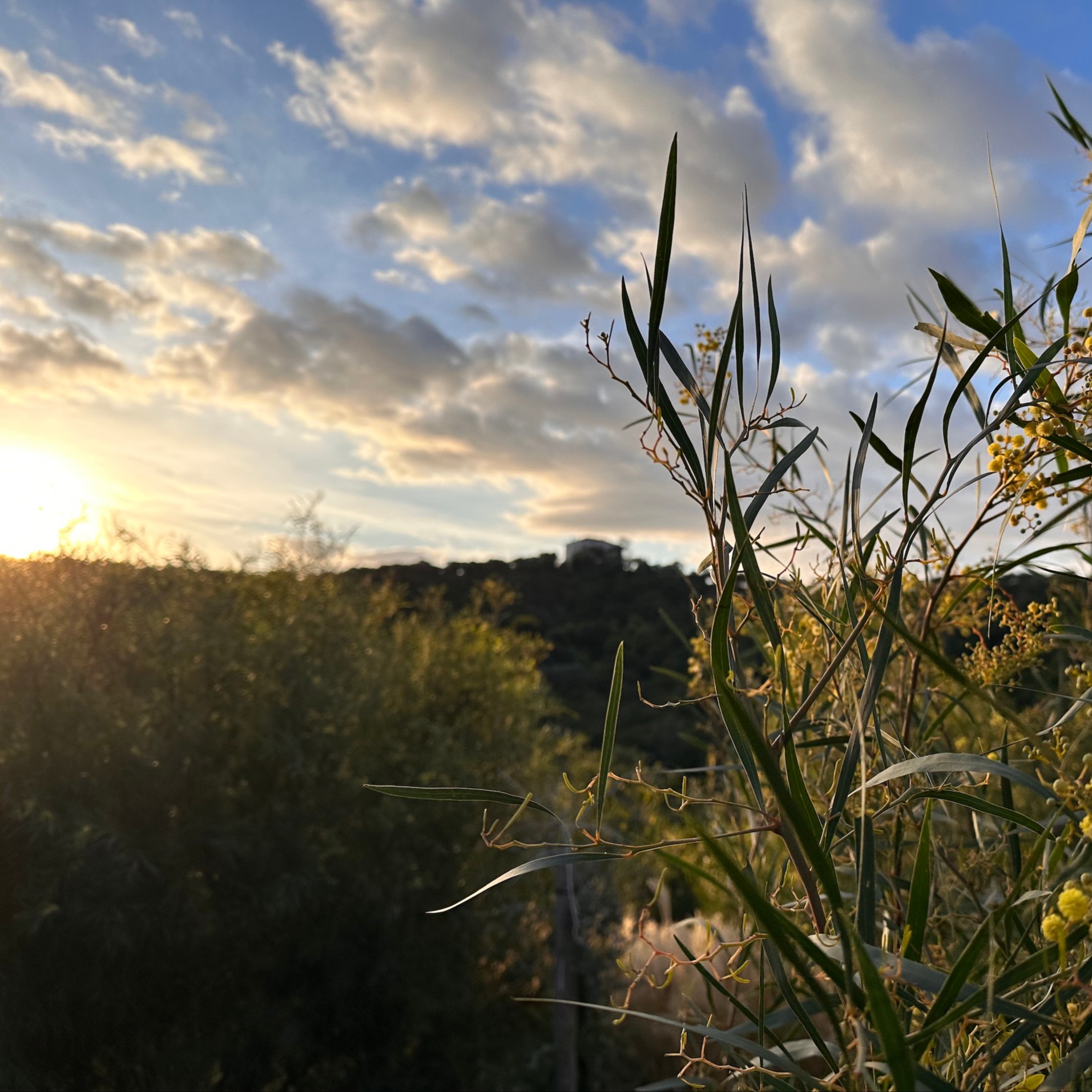 Balade autour de FONCIN avec Mélanie ROBEAU (mai)