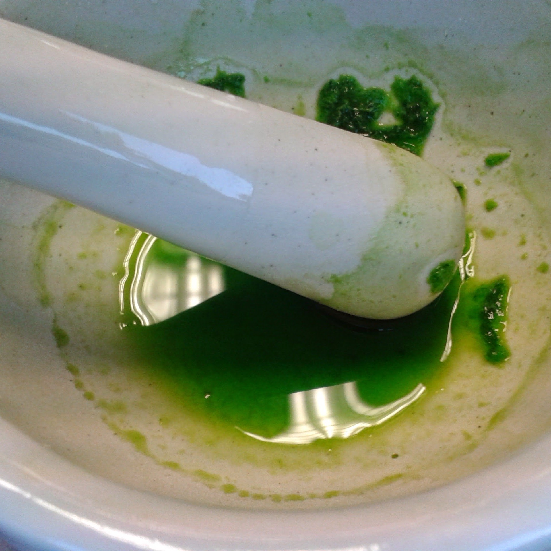 Atelier extraction de pigments et marque page