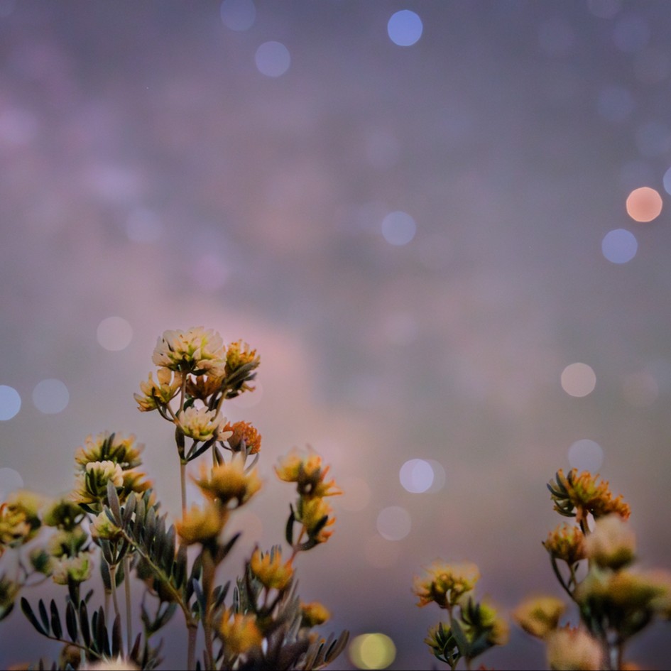 Safari nocturne avec Florent BEAU