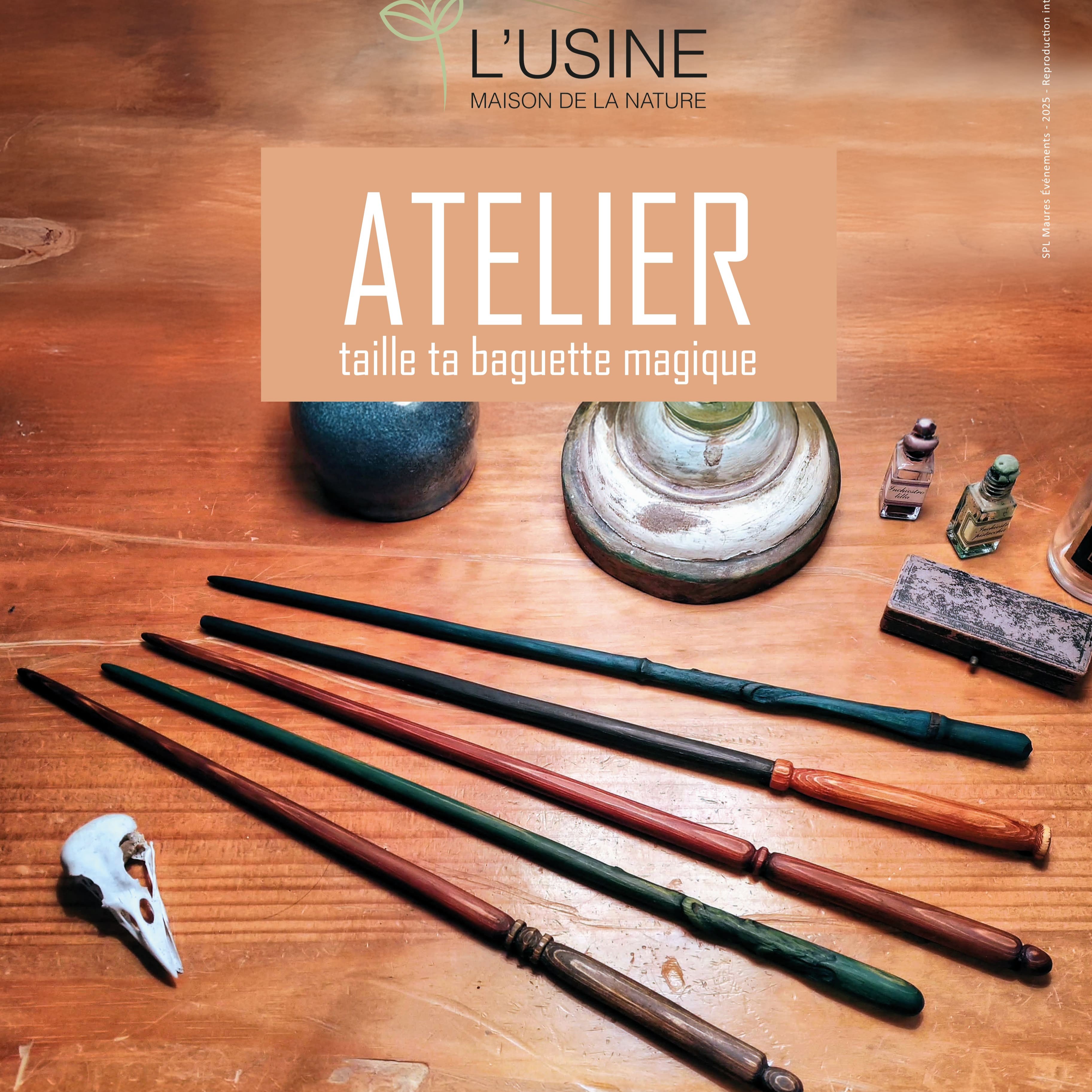 Atelier taille du bois + étui en cuir