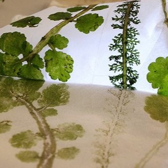 Atelier Tatakizomé spécial mimosa