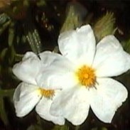 Balade nature avec le CIETM