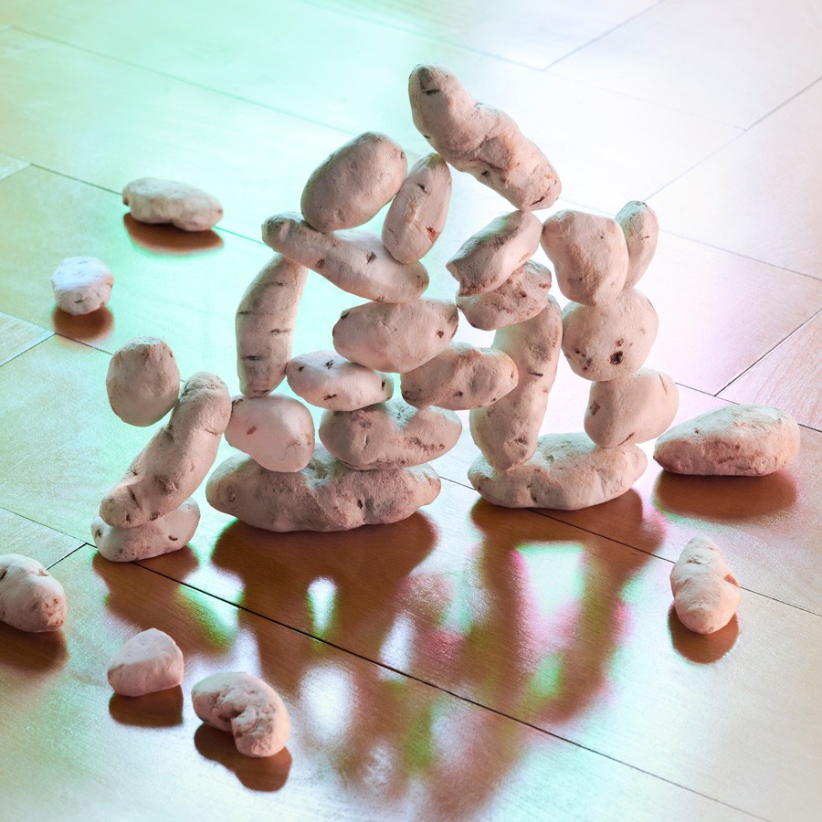 T. réduit Visite Famille 1001 Patates