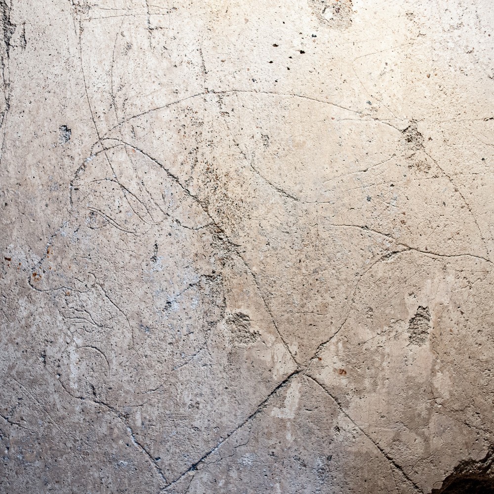 Gratuité Visite insolite : Traces d'enfermement