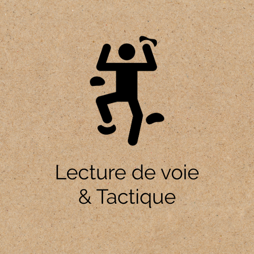 Lecture de voie & Tactique