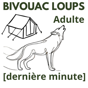 Bivouac Adulte Loups [dernière minute] 14-15-16 AOUT