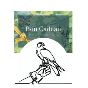 Bon cadeau Fauconnier d'un jour 15 ans et +