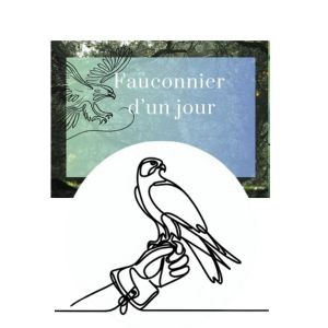 Bon Cadeau fauconnier d'un jour (1 adulte + 3 enfants)