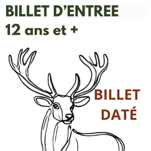 Billet Daté Plein tarif 12 ans et +