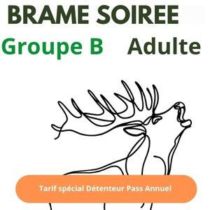 Abo. Brame soirée Groupe B - Adulte 12 ans et + (18h00)