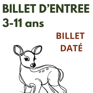 Billet Daté Plein tarif 3-11 ans
