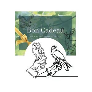 Bon Cadeau Fauconnier d'un jour (1 adulte + 1 enfant)