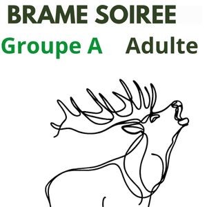 Brame soirée Groupe A Adulte 12 ans et + (17h30)